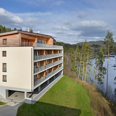 Element Lakeside Apartments リプノ・ナト・ヴルタヴォウ エクステリア 写真
