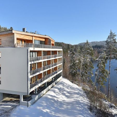Element Lakeside Apartments リプノ・ナト・ヴルタヴォウ エクステリア 写真