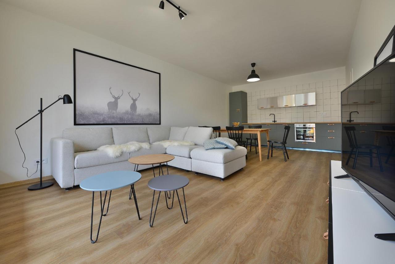 Element Lakeside Apartments リプノ・ナト・ヴルタヴォウ エクステリア 写真