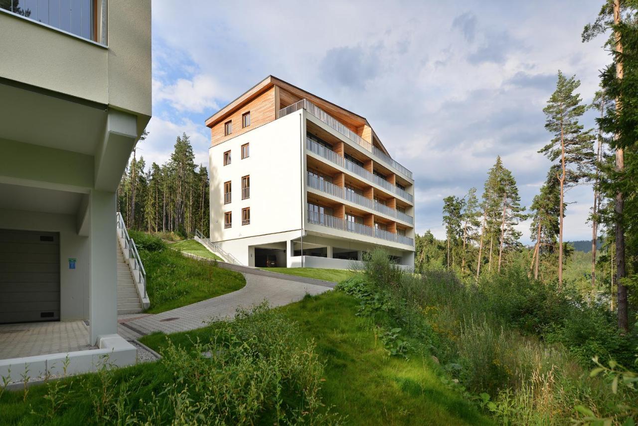 Element Lakeside Apartments リプノ・ナト・ヴルタヴォウ エクステリア 写真