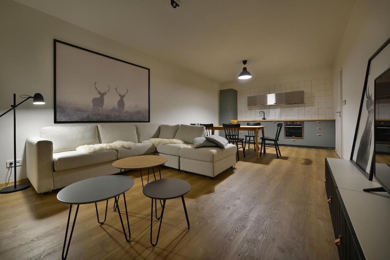 Element Lakeside Apartments リプノ・ナト・ヴルタヴォウ エクステリア 写真