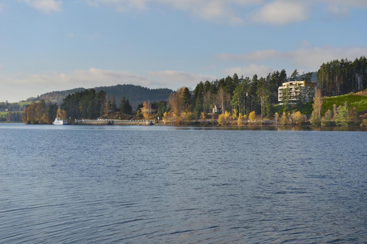 Element Lakeside Apartments リプノ・ナト・ヴルタヴォウ エクステリア 写真