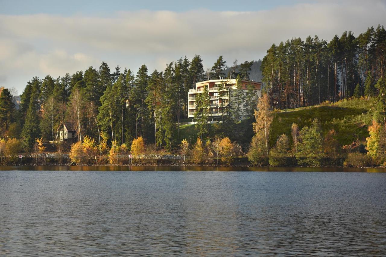 Element Lakeside Apartments リプノ・ナト・ヴルタヴォウ エクステリア 写真