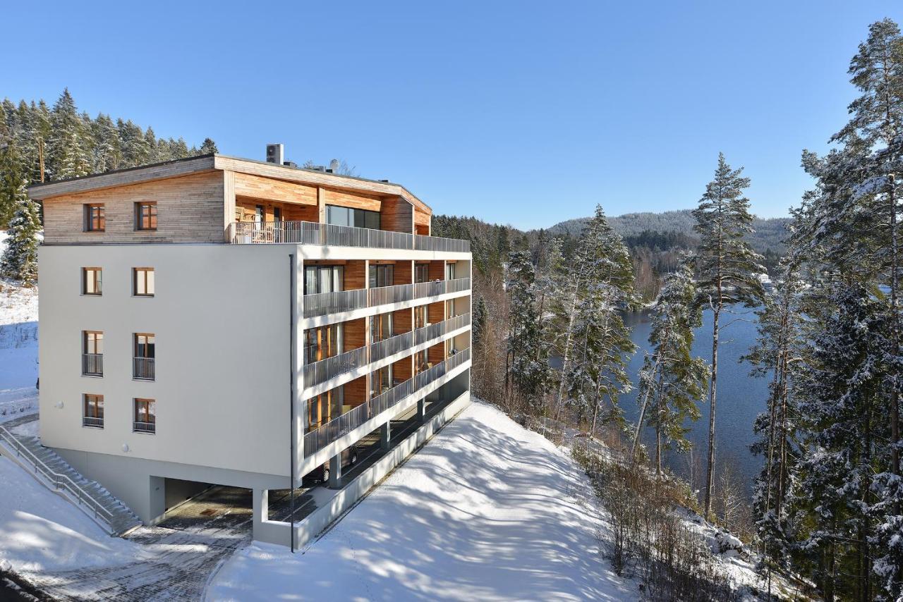 Element Lakeside Apartments リプノ・ナト・ヴルタヴォウ エクステリア 写真